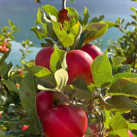 Flo House Casa de Férias Stryn